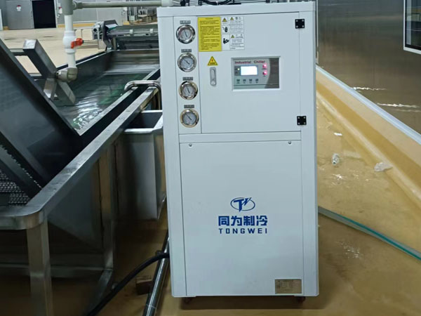 Tongwei instala con éxito 10 toneladas de enfriadores de aire industrial enfriado en la fábrica de alimentos del cliente